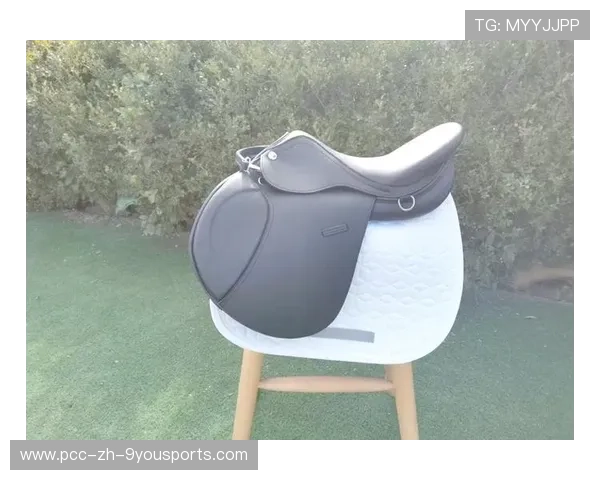 英格兰马术协会引入智能马鞍系统，实现实时数据监测与分析，提升骑乘体验。