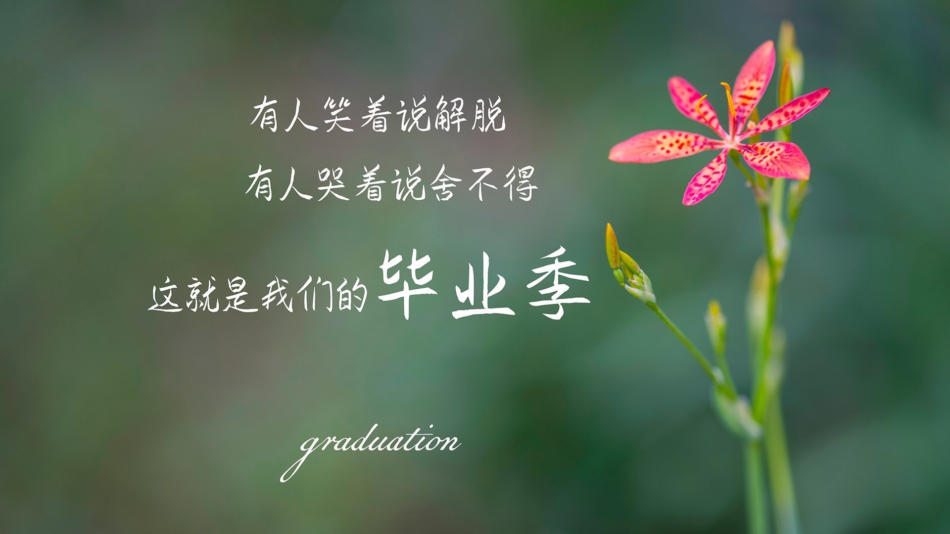主力阵容节奏风格是否决定轮换体系设定,主力节奏指标源码
