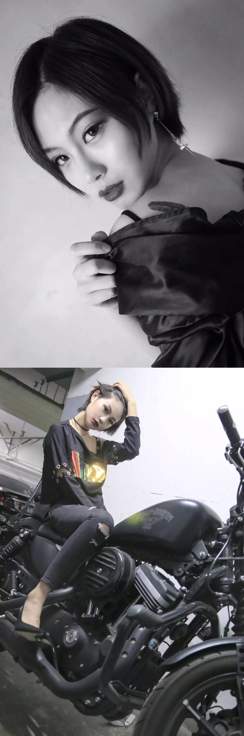 伤停危机球队如何应对主力缺阵，伤停汇总