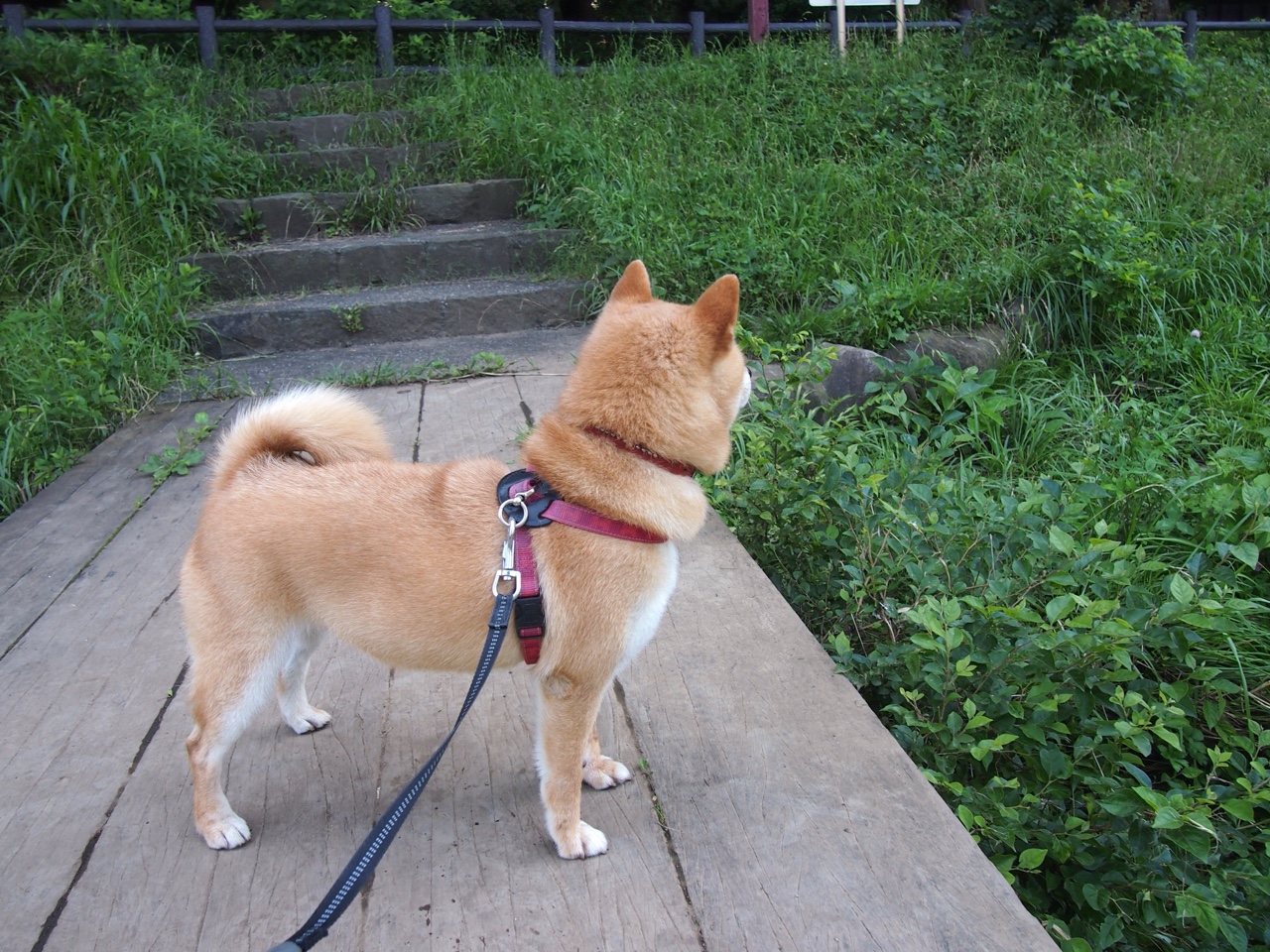 体育新闻中心建设体育内容原创激励生态体系，优秀体育新闻报道文章