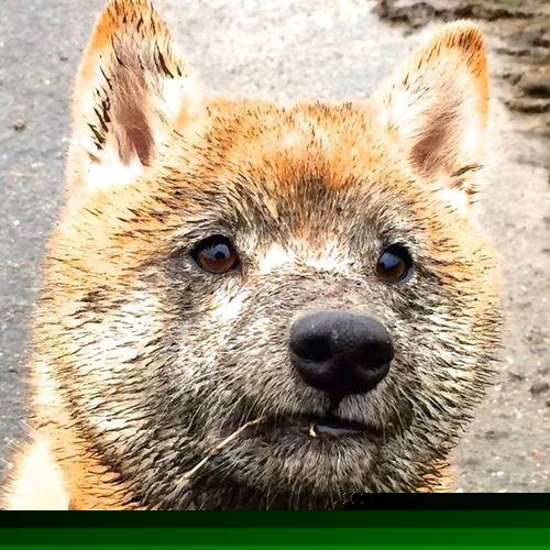 场馆节能改造结合智能照明系统推进,智能化场馆建设