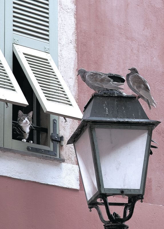 CBA加强赛场规则宣传提升比赛规范执行力，cba规章制度