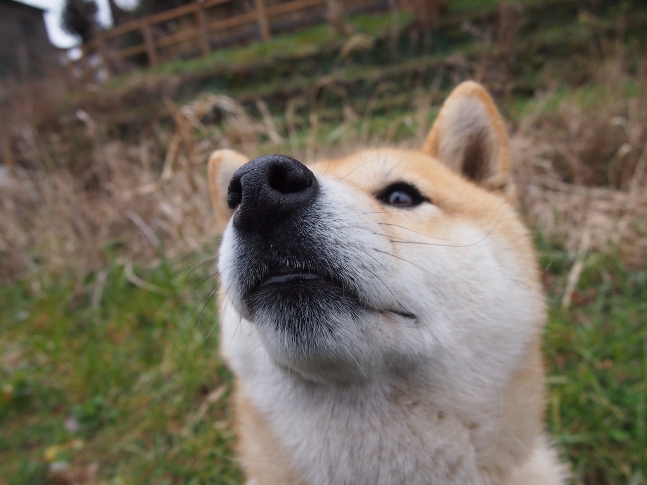 多功能足球场设计新理念,融合城市景观和休闲体验,多功能球场造价